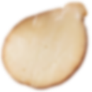 Intrapan Intrapan