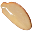 Intrapan Intrapan