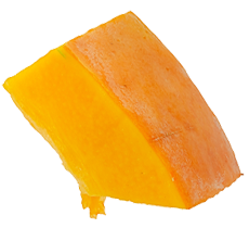 Intrapan